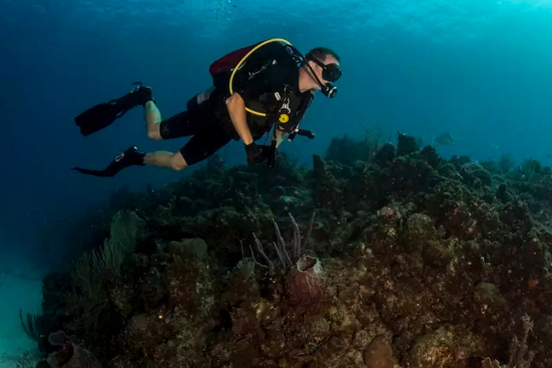 What Are the Basic Equipment in Scuba Diving?