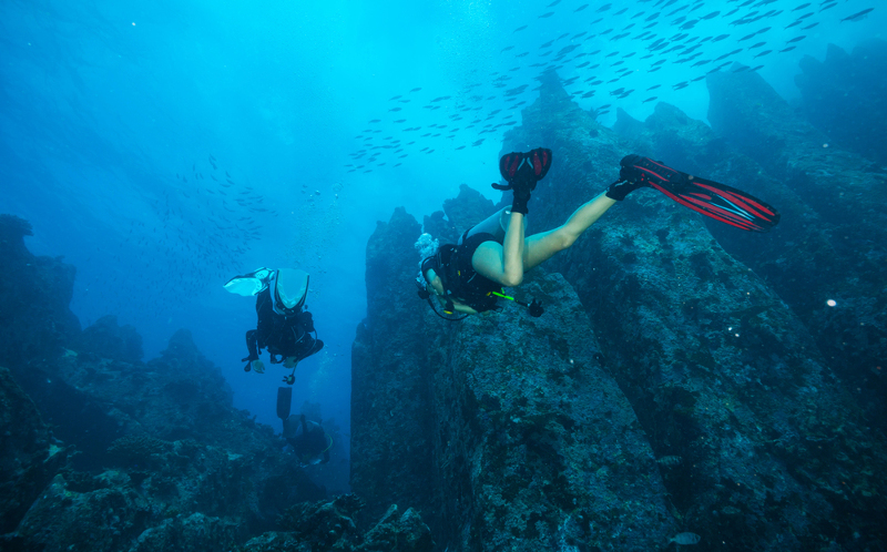 How Can Stay with your Buddy on a Scuba Dive?