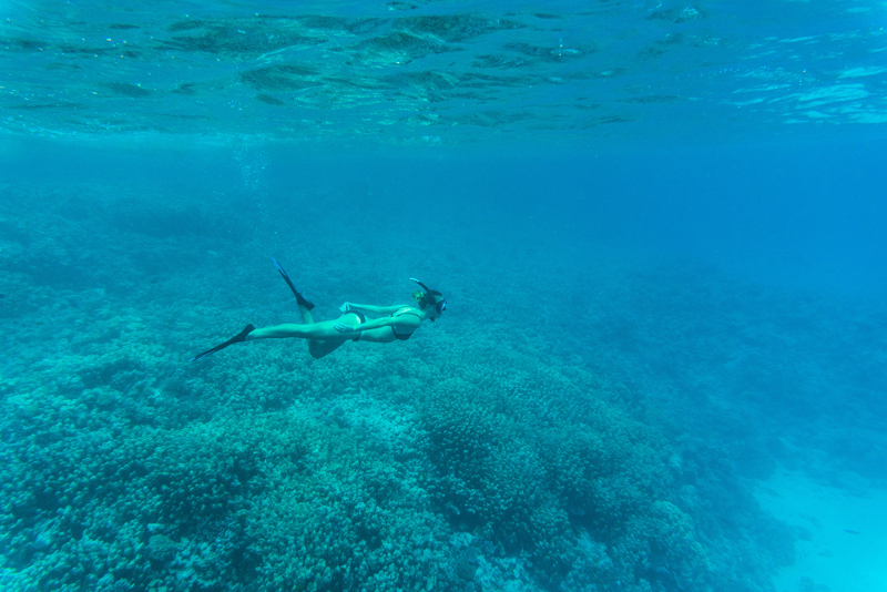 Skin Diving vs Scuba Diving