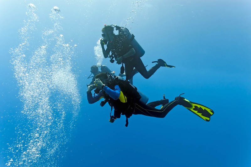 Can you Scuba Dive after Donating Plasma?