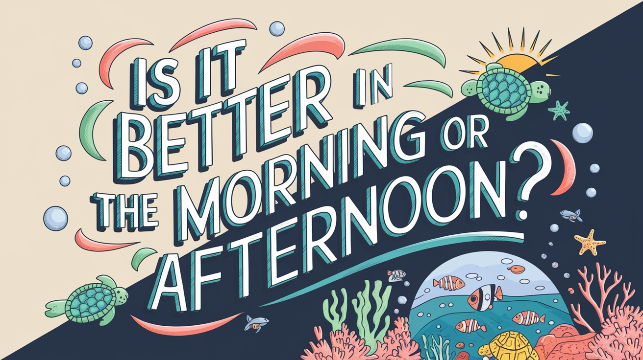 Is It Better to Scuba Dive in the Morning or Afternoon?